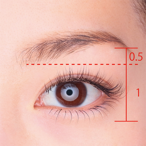 株式会社ヴィーナス・ラッシュのプレスリリース画像2