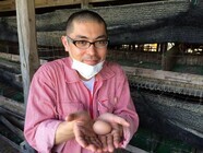 国際プリン協会のプレスリリース画像7