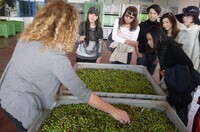 一般社団法人　AIPEイタリアエノガストロノミカ協会のプレスリリース画像3