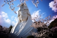 一般財団法人ジャパンギビングのプレスリリース