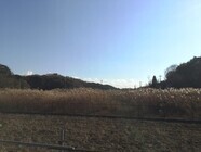 株式会社ダイヤサービスのプレスリリース画像4