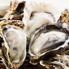 株式会社TBI JAPANのプレスリリース画像4