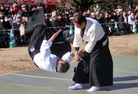 NPO東京臨海地域開発研究会のプレスリリース