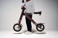 株式会社ブレイズのプレスリリース画像3