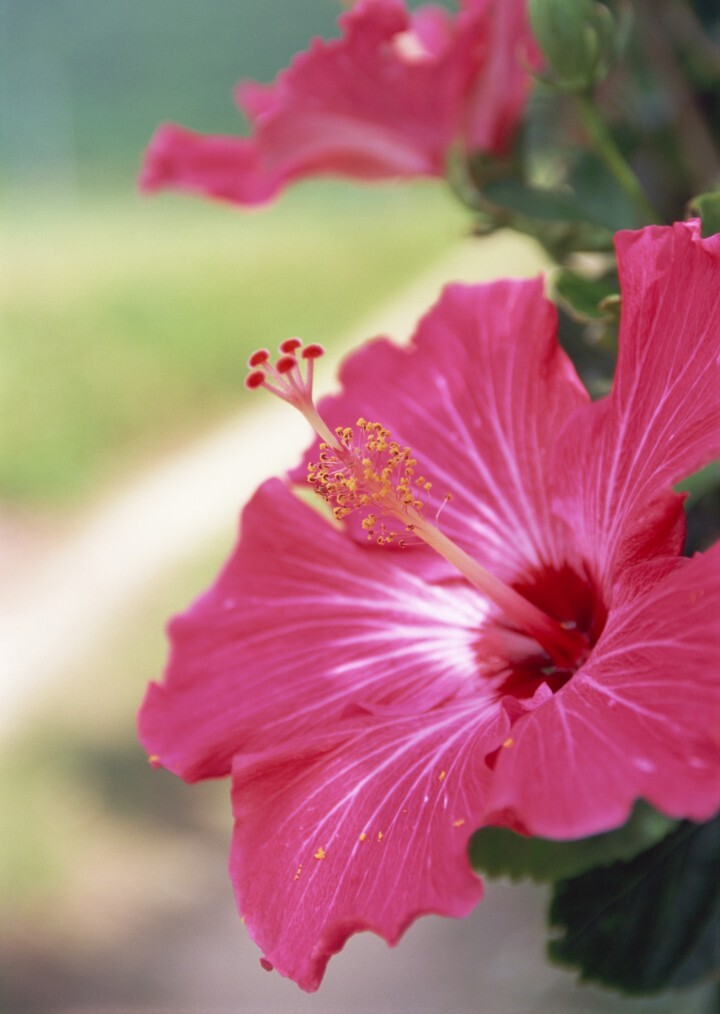 沖縄県商工労働部企業立地推進課のプレスリリース画像4