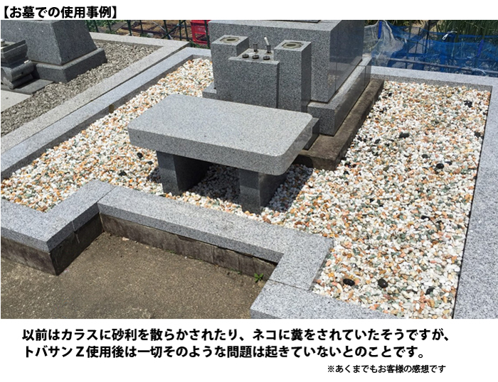 アイ・イー・コーポレーション有限会社のプレスリリース画像5