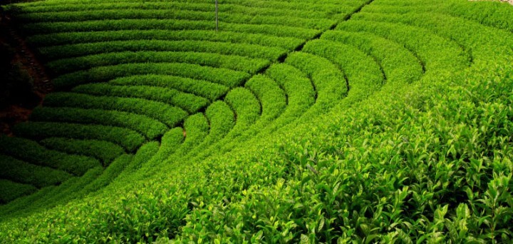 喜多重左衛門のプレスリリース画像10