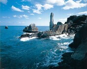 宮城県のプレスリリース画像6