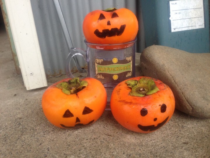 せっきーファームのプレスリリース画像1