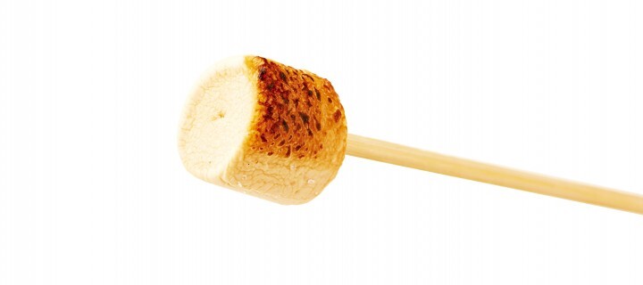 株式会社レインズインターナショナルのプレスリリース画像3