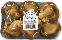 株式会社ゼネラルパートナーズのプレスリリース