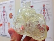 マテリアライズジャパン株式会社のプレスリリース画像1