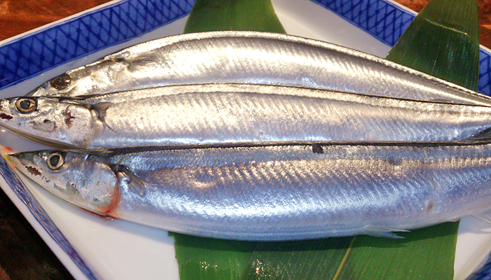 株式会社ミナシアのプレスリリース画像1