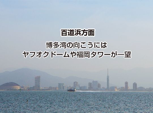 美里建設株式会社のプレスリリース画像2