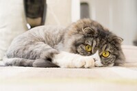 部室株式会社のプレスリリース