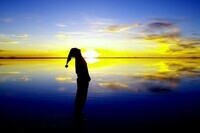 『地球屋』のプレスリリース画像1