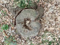 株式会社サードウェーブ　GALLERIAのプレスリリース画像2