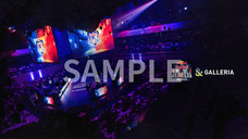 株式会社サードウェーブ　GALLERIAのプレスリリース画像3