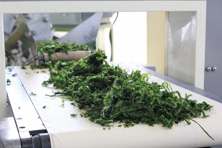 株式会社　前田屋のプレスリリース画像4