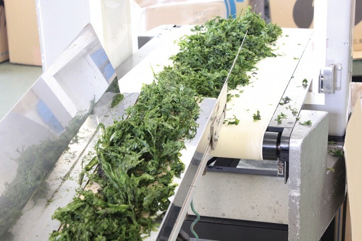 株式会社　前田屋のプレスリリース画像3