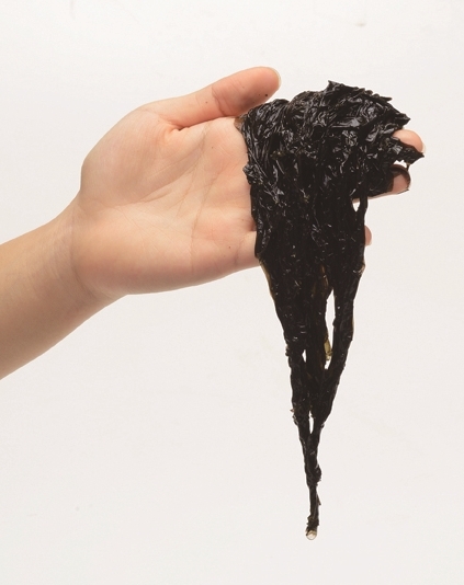 株式会社　前田屋のプレスリリース画像2