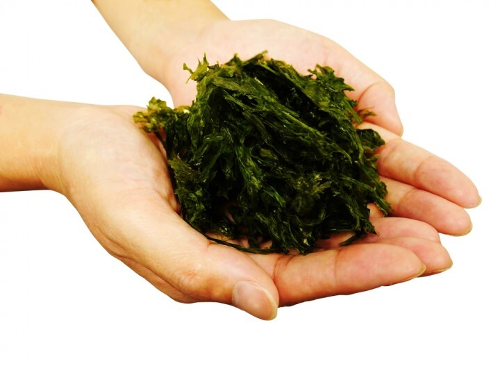 株式会社　前田屋のプレスリリース画像8