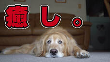 モバーシャル株式会社のプレスリリース画像5