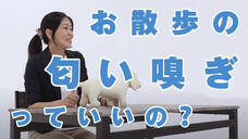 モバーシャル株式会社のプレスリリース画像3