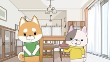 モバーシャル株式会社のプレスリリース画像6