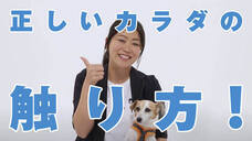 モバーシャル株式会社のプレスリリース画像1