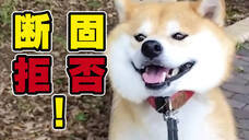 モバーシャル株式会社のプレスリリース画像4