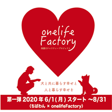 株式会社イシワタのプレスリリース画像1