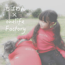 株式会社イシワタのプレスリリース画像2