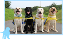 川村義肢株式会社のプレスリリース画像1