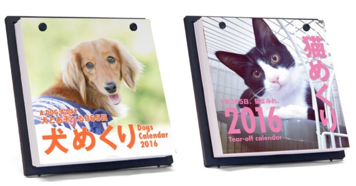 あなたの愛犬 愛猫の写真がカレンダーになるかも 日めくりカレンダー 犬めくり 猫めくり の写真を募集中 株式会社シーオーツーのプレスリリース