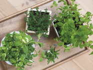 株式会社キャリアカレッジジャパンのプレスリリース画像6