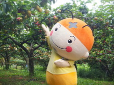 エスビージャパン株式会社のプレスリリース画像2