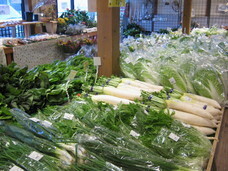 エスビージャパン株式会社のプレスリリース画像3