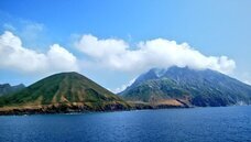 エスビージャパン株式会社のプレスリリース画像2