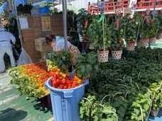 エスビージャパン株式会社のプレスリリース画像2