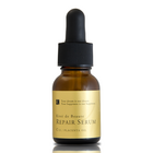 株式会社ウエルネス・ラボのプレスリリース