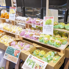 株式会社AgriInnovationDesignのプレスリリース画像5