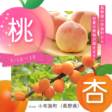 株式会社AgriInnovationDesignのプレスリリース画像4