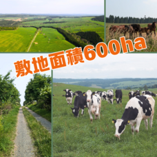 株式会社AgriInnovationDesignのプレスリリース画像3