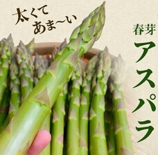 株式会社AgriInnovationDesignのプレスリリース画像6