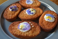 株式会社AgriInnovationDesignのプレスリリース画像2