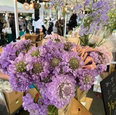 株式会社AgriInnovationDesignのプレスリリース画像5