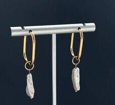 株式会社AgriInnovationDesignのプレスリリース画像6