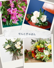 株式会社AgriInnovationDesignのプレスリリース画像10