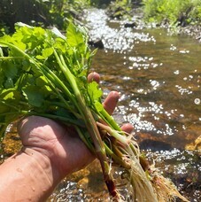 株式会社AgriInnovationDesignのプレスリリース画像5